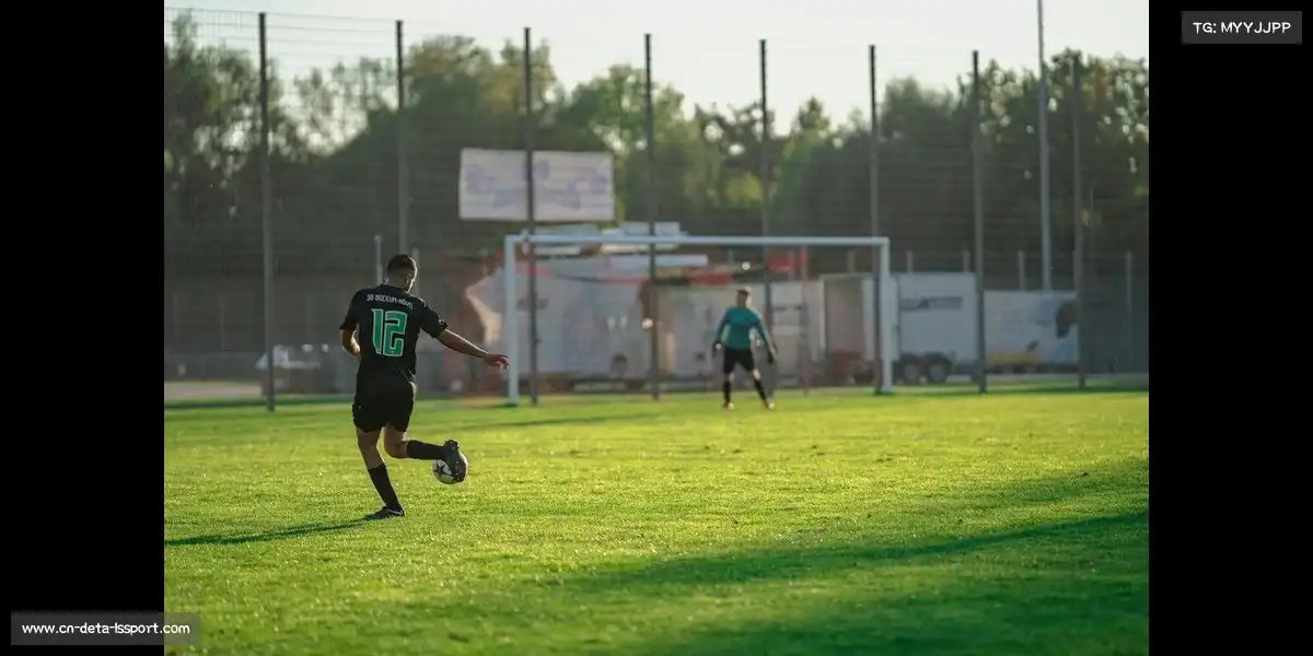 雷速官网——🎯汗水不白流，胜利在前头！🏅